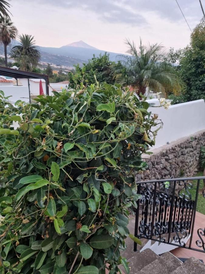 La Casa De Lucy & Karin Βίλα La Orotava Εξωτερικό φωτογραφία